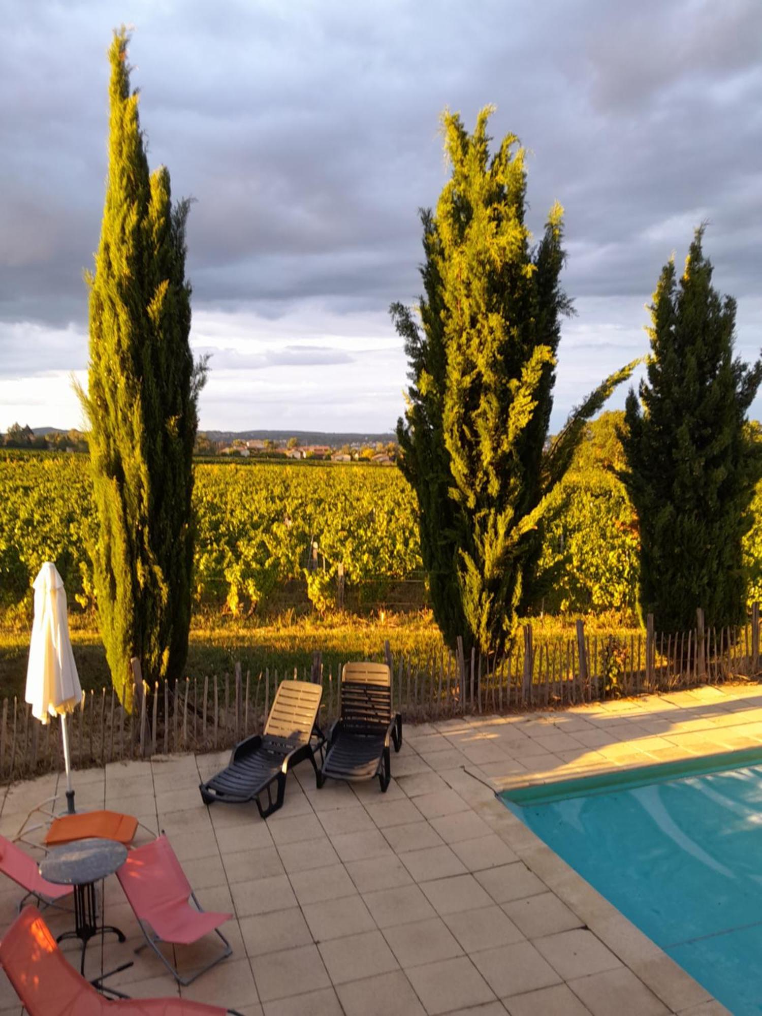 La Cote Des Blancs - Domaine Viticole & Maison D'Hotes Vinzelles Exterior foto